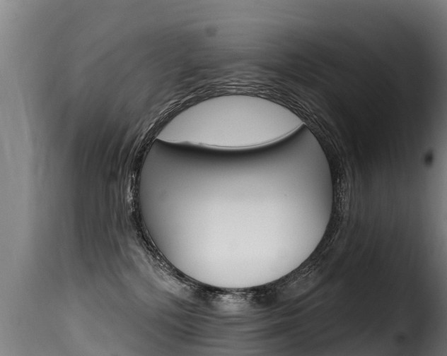 X0000116110232200911231002