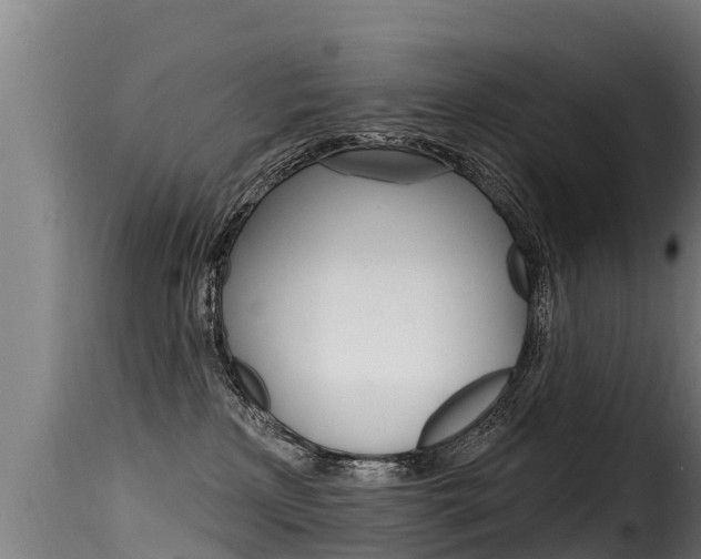 X0000116110233200911231002