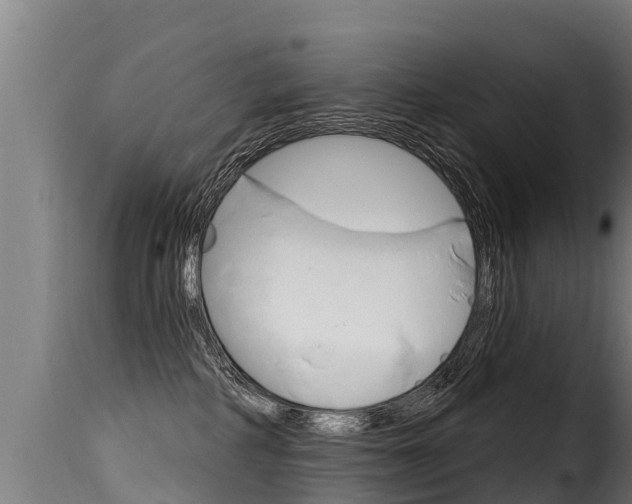 X0000116110234200911231002