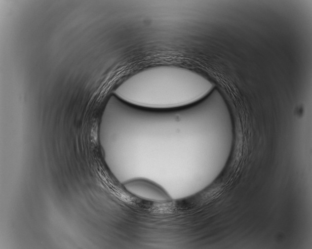 X0000116110240200911231002