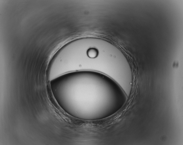 X0000116110244200911231001