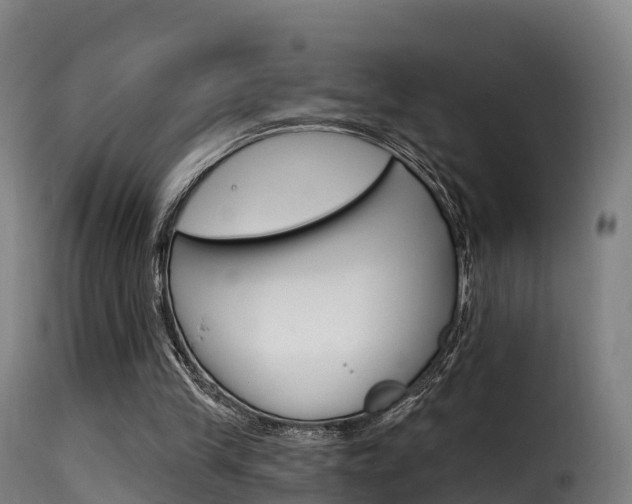 X0000116110245200911231001