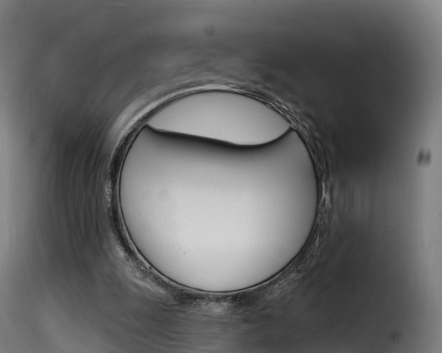 X0000116110247200911231001
