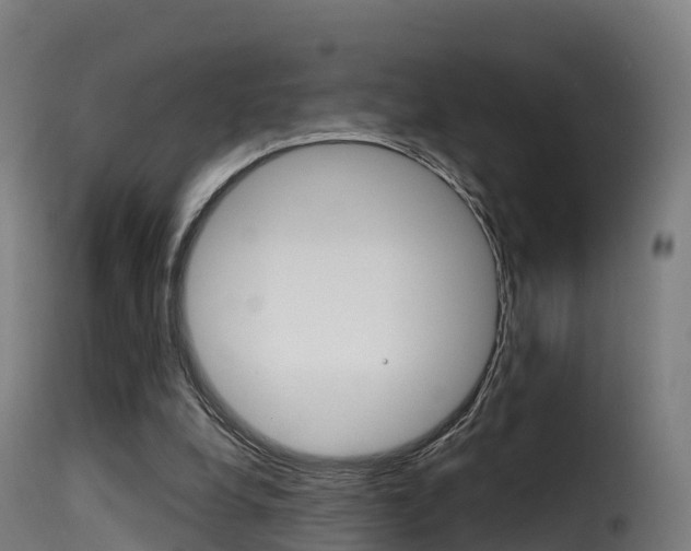 X0000116110248200911231001