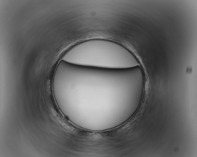 X0000116110249200911231001