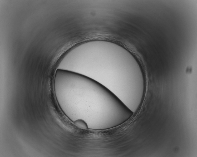 X0000116110250200911231001
