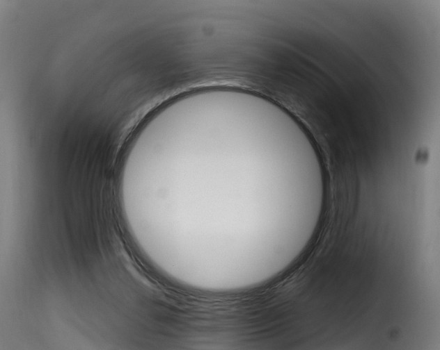 X0000116110252200911231002