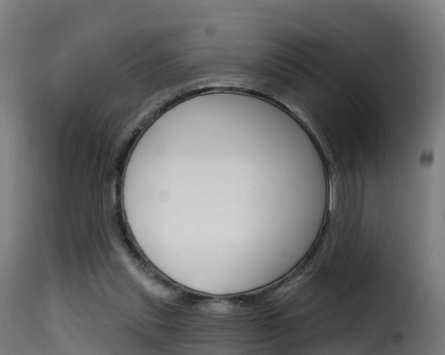 X0000116110253200911231002