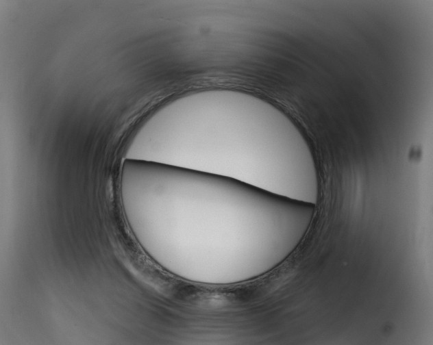 X0000116110254200911231002