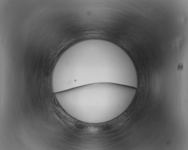 X0000116110255200911231002