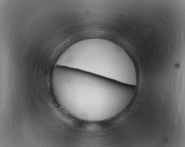 X0000116110258200911231002