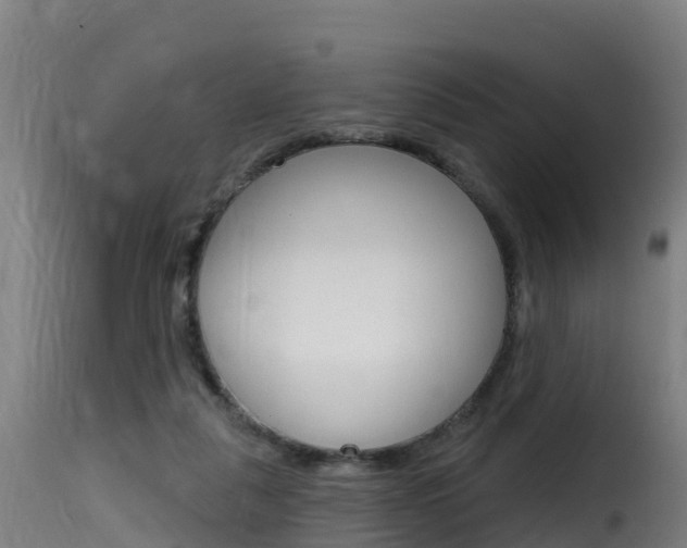 X0000116110259200911231002