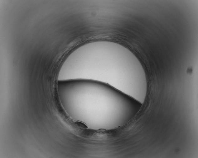 X0000116110260200911231002