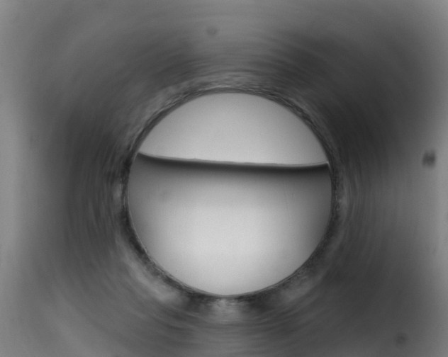 X0000116110261200911231002