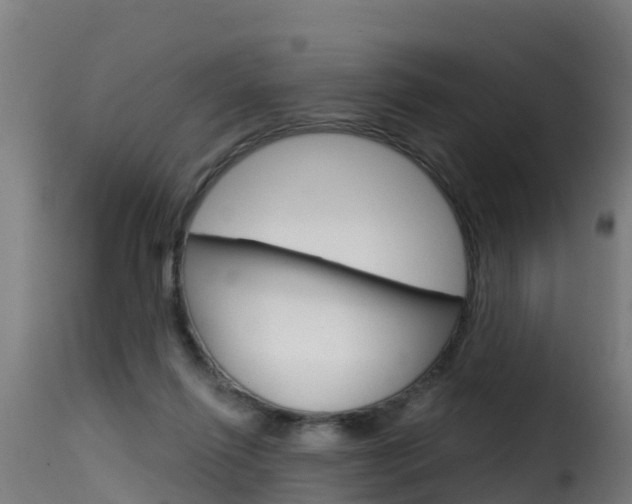 X0000116110262200911231002