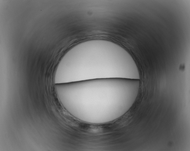 X0000116110263200911231002