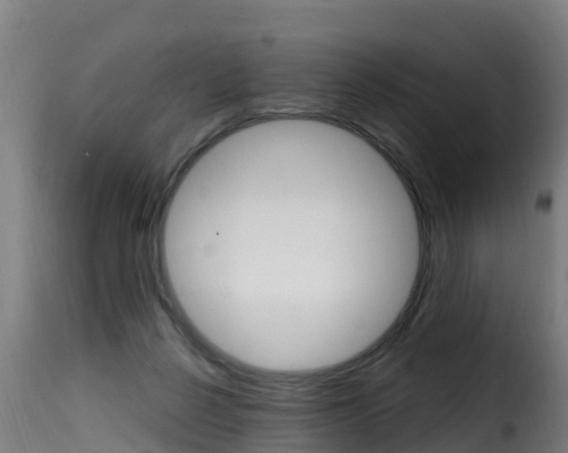X0000116110264200911231002