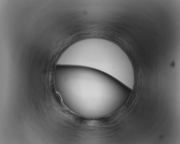 X0000116110268200911231002