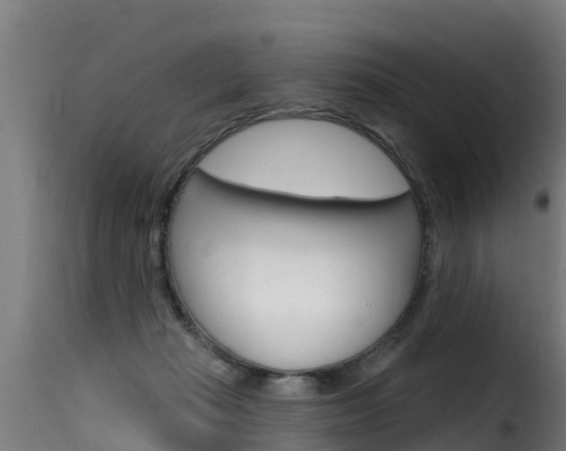 X0000116110269200911231002