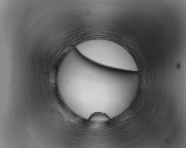 X0000116110274200911231002