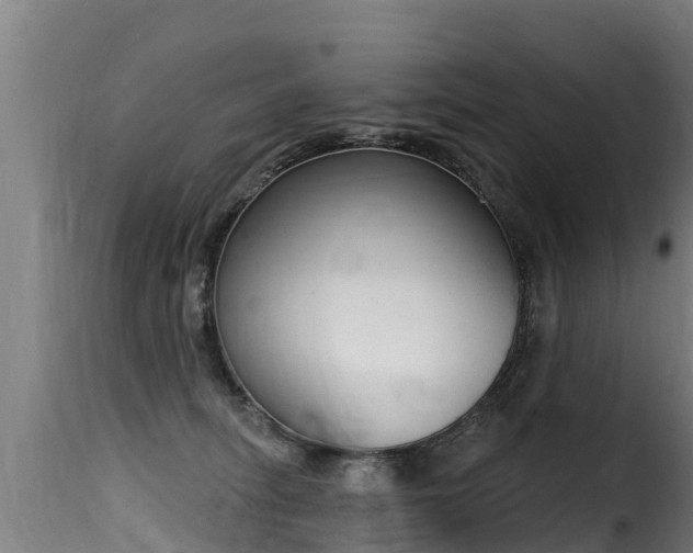 X0000116110275200911231002