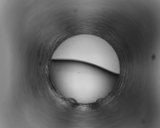 X0000116110280200911231002