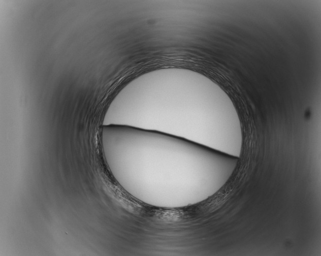 X0000116110282200911231002