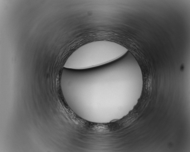 X0000116110283200911231002