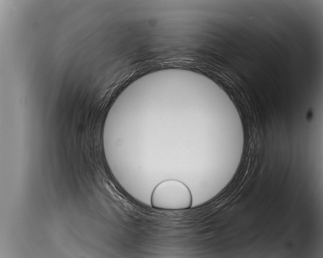 X0000116110284200911231002