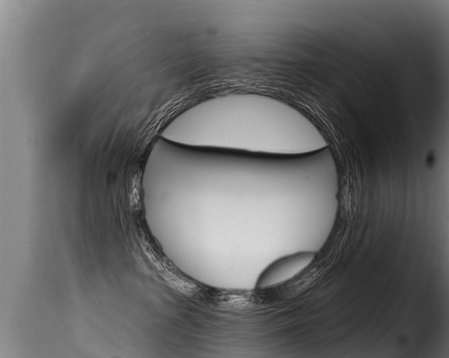 X0000116110285200911231002