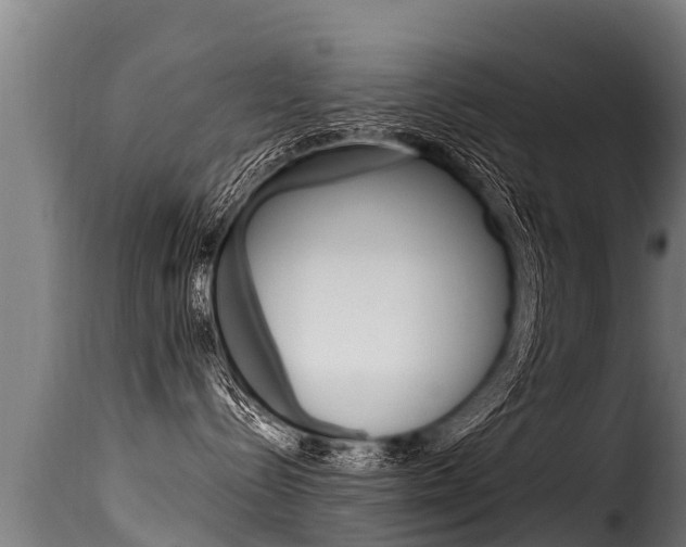 X0000116110288200911231002
