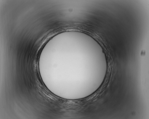 X0000116110290200911231001
