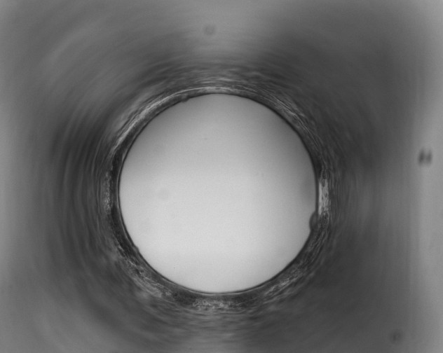 X0000116110291200911231001