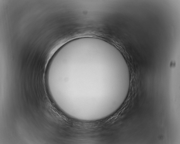 X0000116110292200911231001