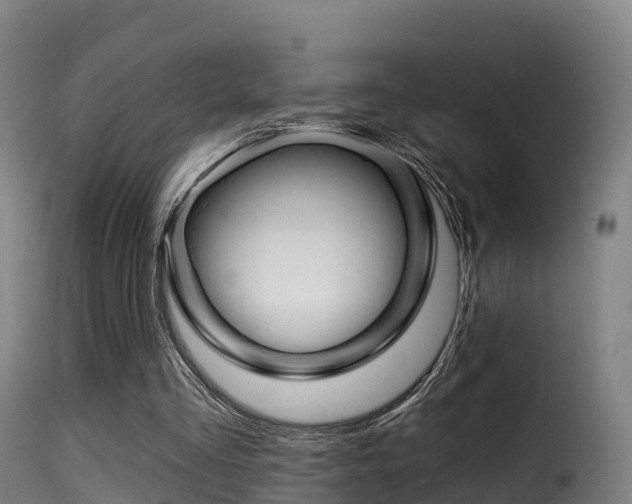 X0000116110293200911231001