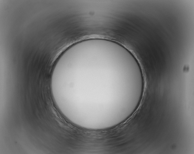 X0000116110297200911231001