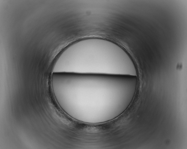 X0000116110299200911231001