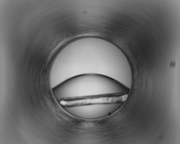 X0000116110300200911231001