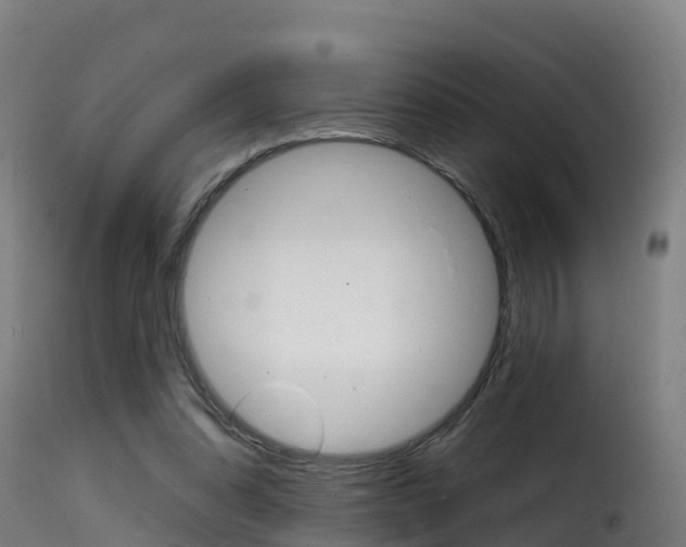 X0000116110302200911231001