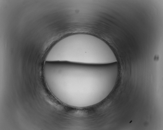 X0000116110303200911231001