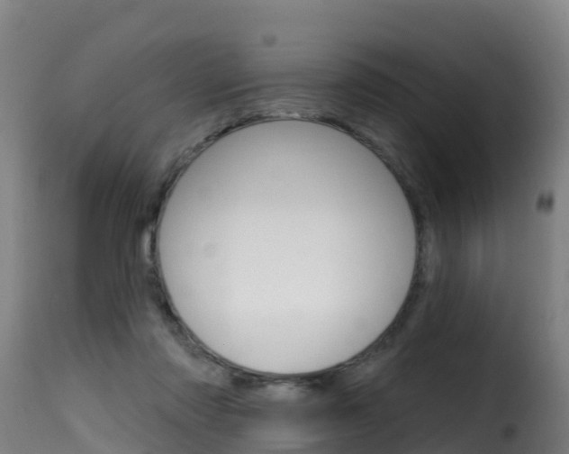 X0000116110310200911231001