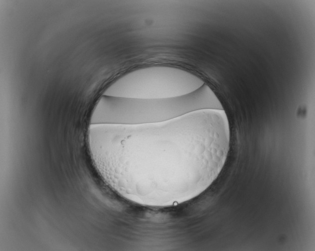 X0000116110311200911231001