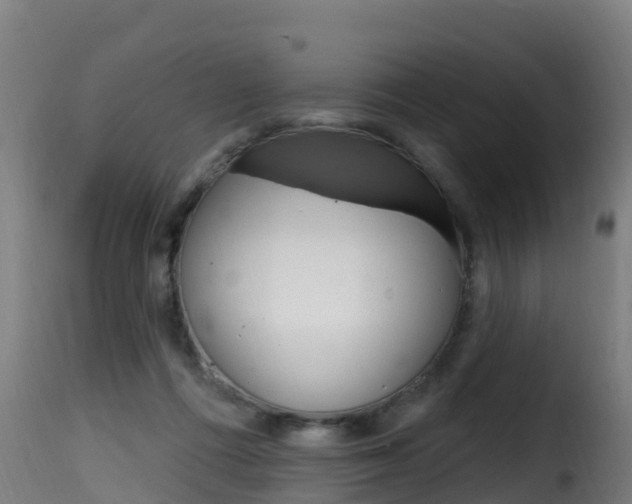 X0000116110312200911231001