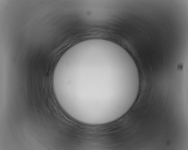 X0000116110313200911231001