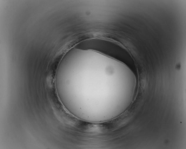 X0000116110316200911231001