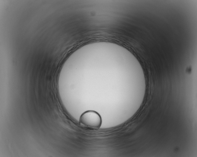 X0000116110320200911231001