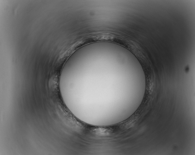 X0000116110326200911231001