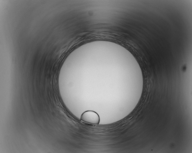X0000116110327200911231001