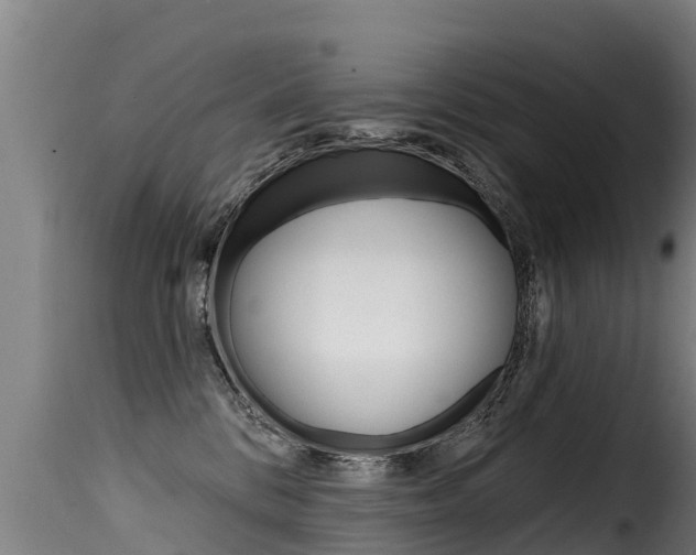 X0000116110328200911231001