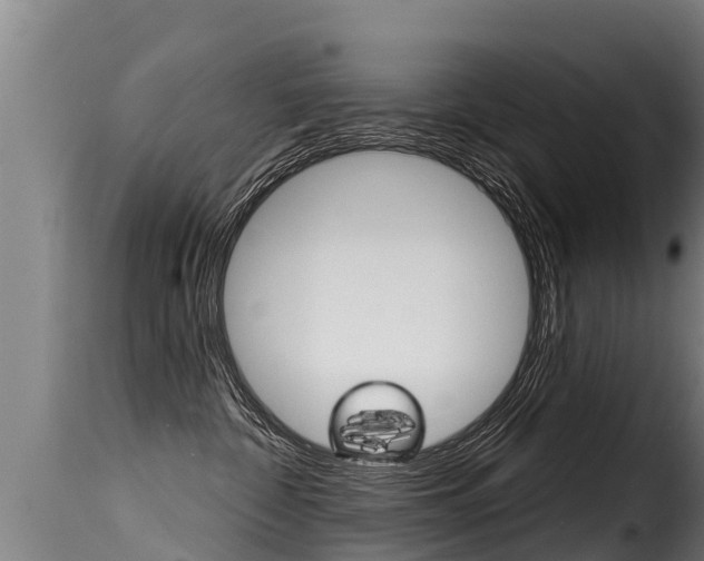 X0000116110332200911231001